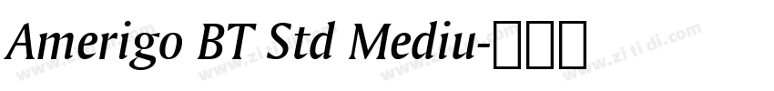 Amerigo BT Std Mediu字体转换